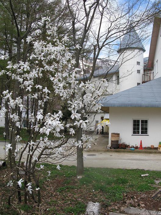 Grindelwald Ξενοδοχείο Yuzawa  Εξωτερικό φωτογραφία
